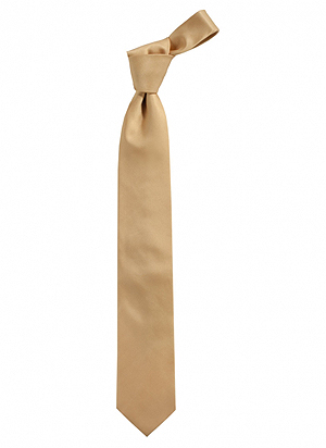 Glänzende Herren Business Krawatte in 12 Farbstellungen erhältlich.